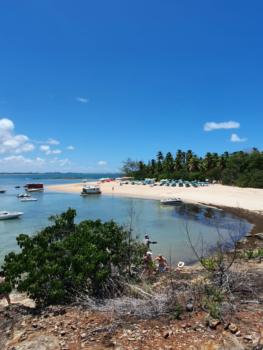Porto de galinhas - Ilha de Santo Aleixo ( carro 1 á 4 pessoas) - Imagem 6