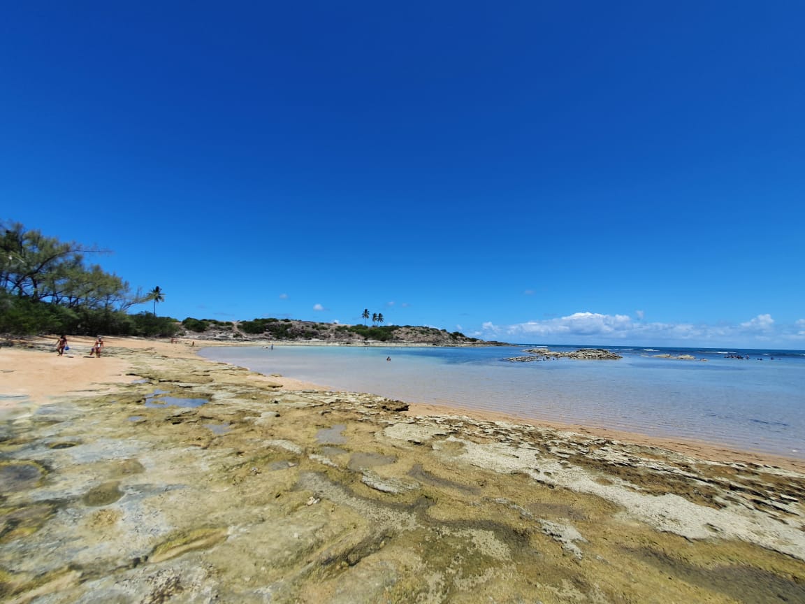 Porto de galinhas - Ilha de Santo Aleixo ( carro 1 á 4 pessoas) - Imagem 4