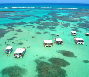Transfer Recife / Maragogi