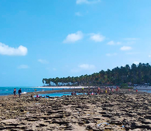Transfer Recife / Porto de Galinhas