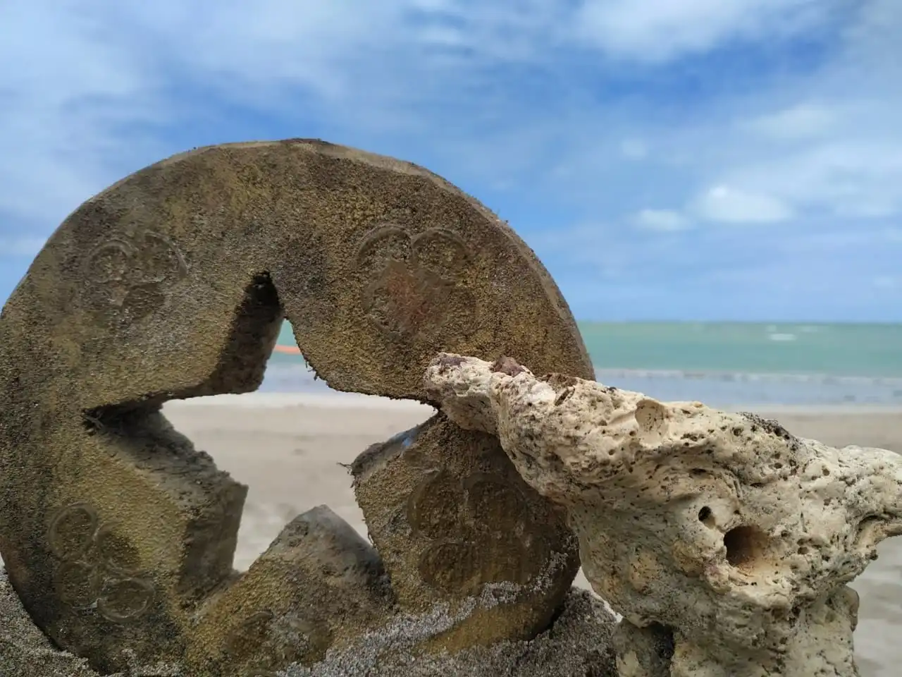 Porto de galinhas - Maragogi *valor 1 á 4 pessoas* - Imagem 2