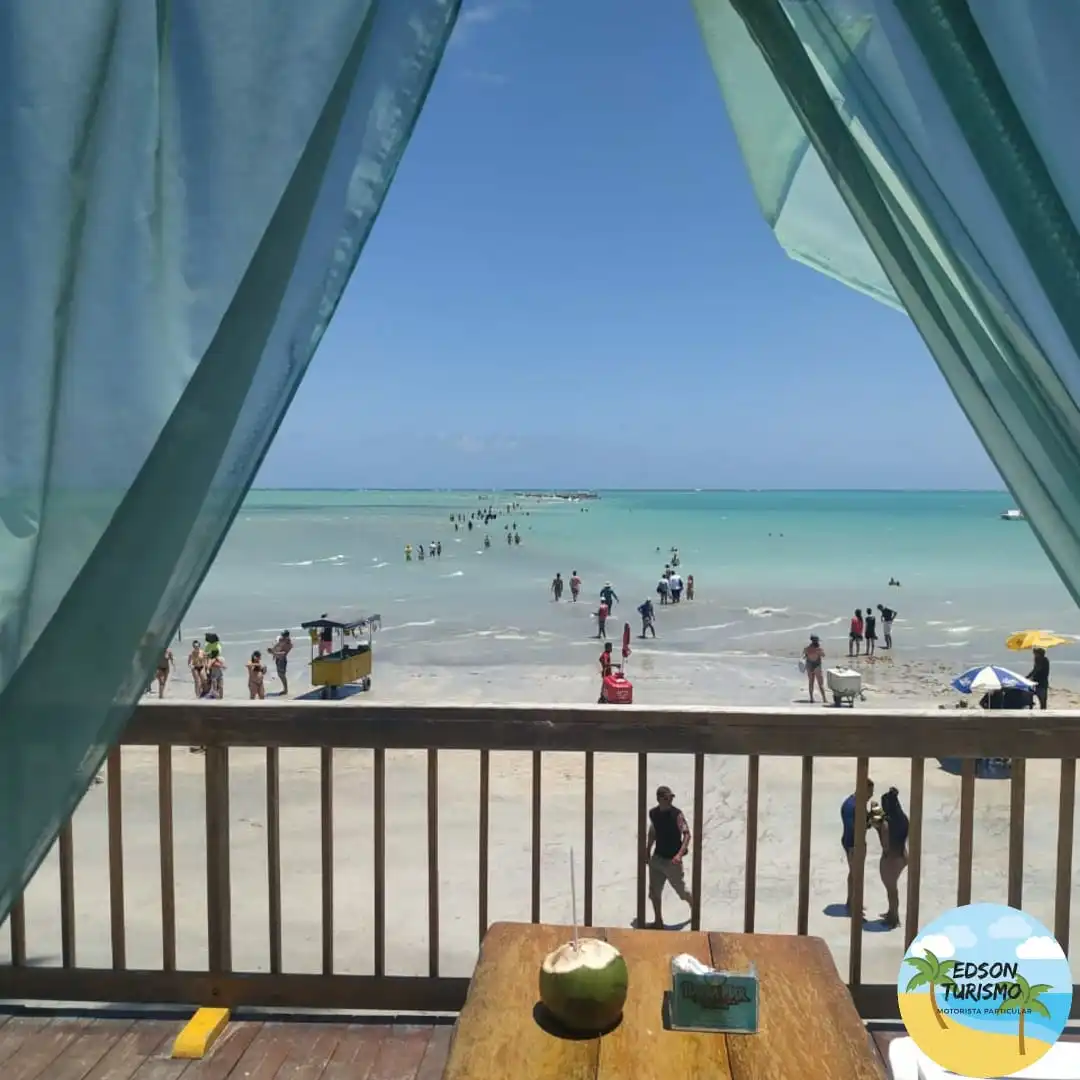 Porto de galinhas - Maragogi *valor 1 á 4 pessoas* - Imagem 8