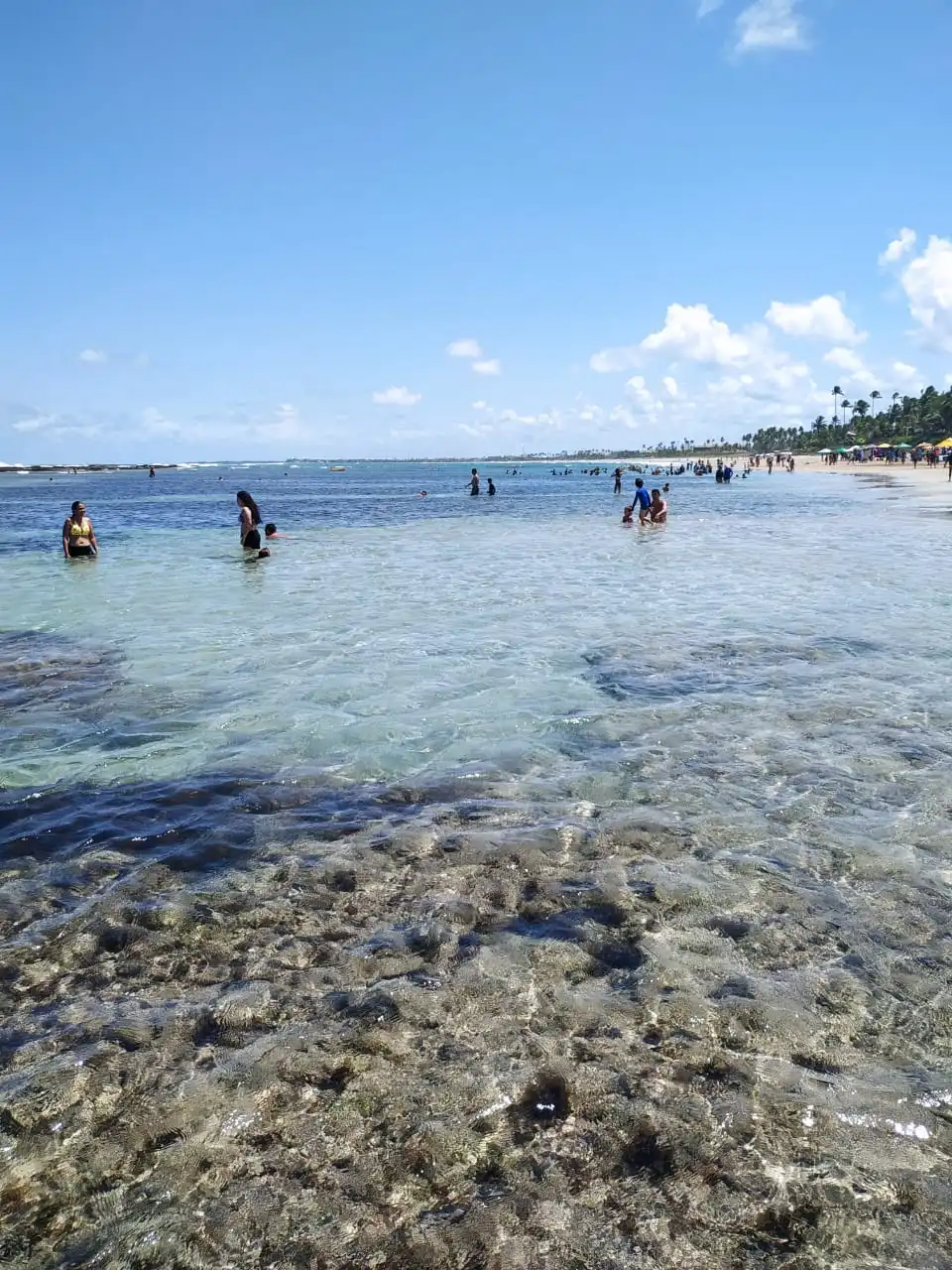Passeio Recife Porto de Galinhas - Imagem 5