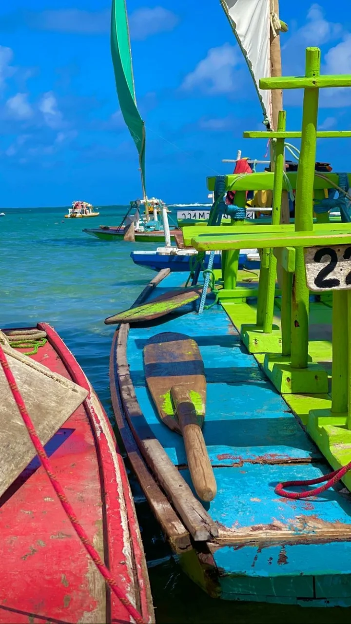 Passeio Recife Porto de Galinhas - Imagem 7