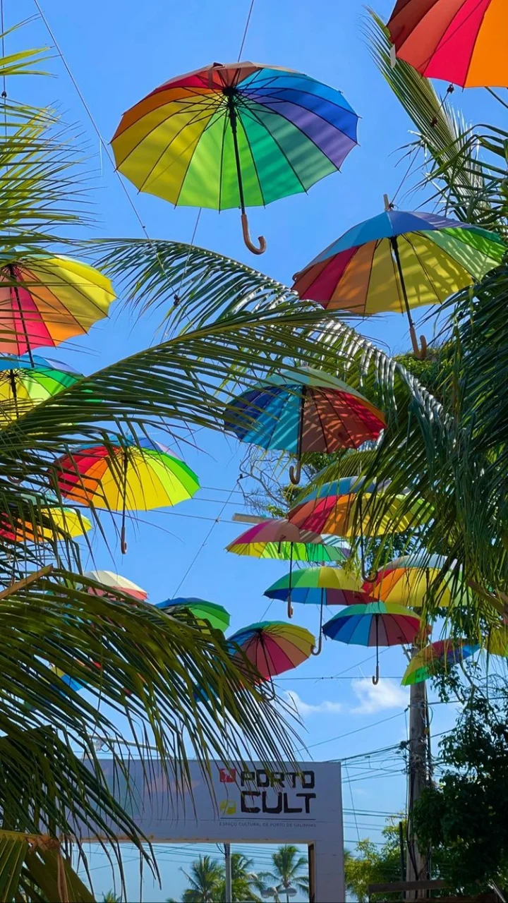 Passeio Recife Porto de Galinhas - Imagem 8